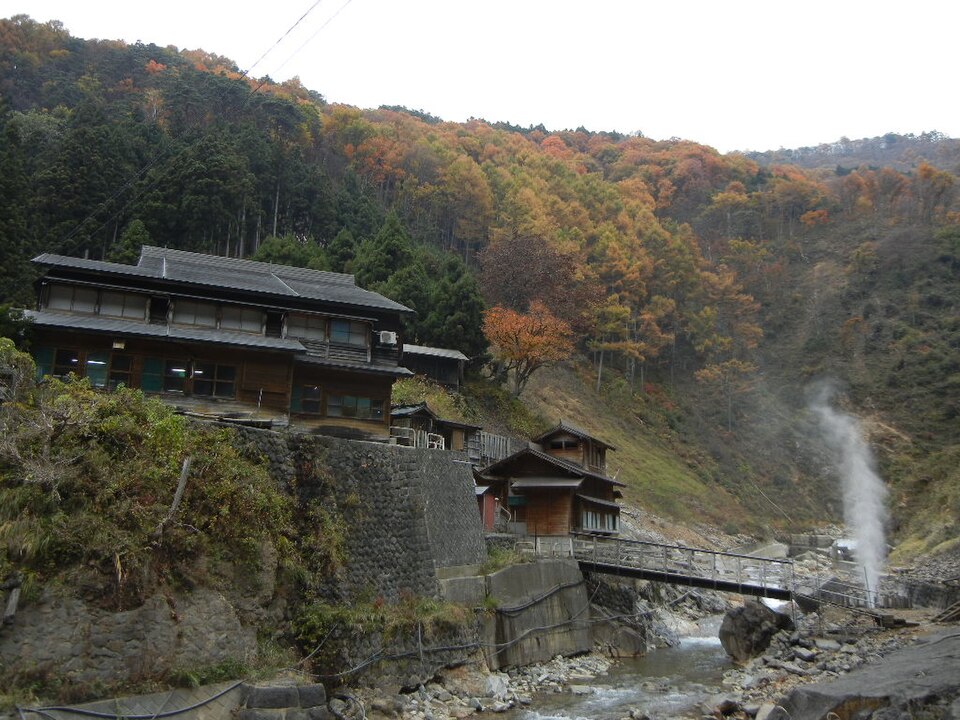 จิโกคุดานิ ยาเอ็นโคเอ็น — Jigokudani Monkey Park